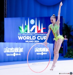 fin 50878 kallio lia sfe00181 simone ferraro ph